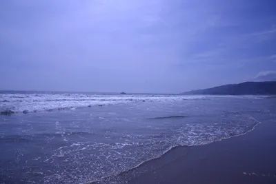 DSC_2115 (Large).JPG